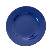 Navy Blue Melamine Side Plate or Kids Plate Rice DK